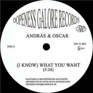 András & Oscar - (I Know) What You Want
