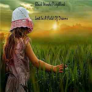 Black Winds / Pixyblink - Lost In A Field Of Dreams