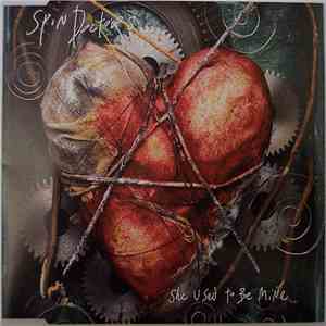 Spin Doctors - She Used To Be Mine