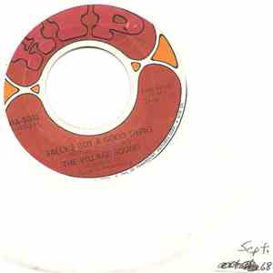 The Village Sound - Sally's Got A Good Thing