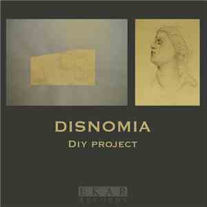 DIY Project - Disnomia