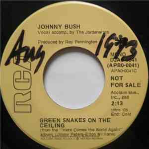 Johnny Bush - Green Snakes On The Ceiling / Drinkin' My Baby Right Out Of M ...