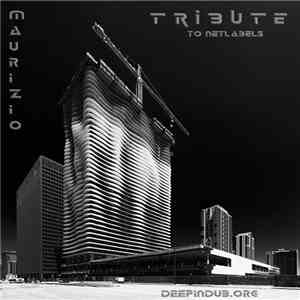 Maurizio Miceli - Tribute To Netlabels II ( Part One Dub Techno Mix )