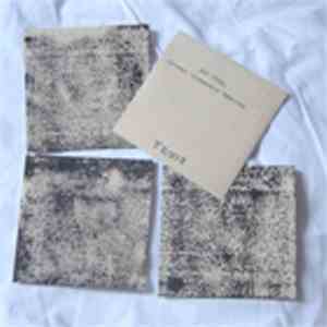 Ben Spiers - Artwork Temporarily Removed