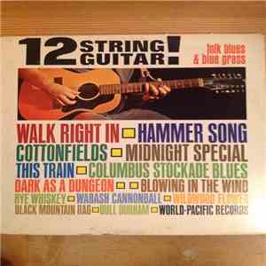 No Artist - 12 String Guitar! / Folk Blues & Blue Grass