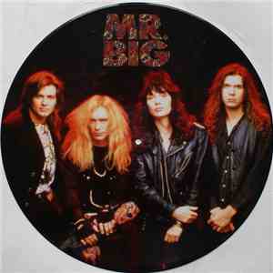 Mr Big - Green Tinted Sixties Mind