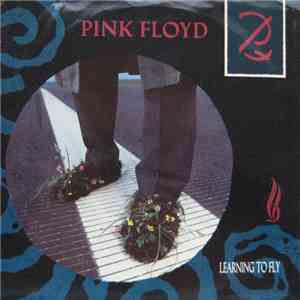 Pink Floyd - Learning To Fly