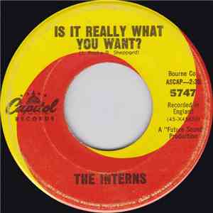 The Interns  - Is It Really What You Want? / Just Like Me