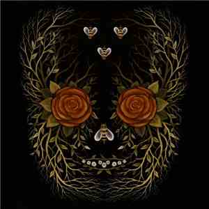 Young Widows - In And Out Of Youth And Lightness