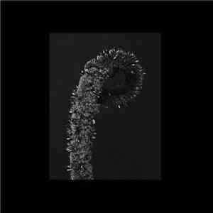 Death Qualia - Intention Versus