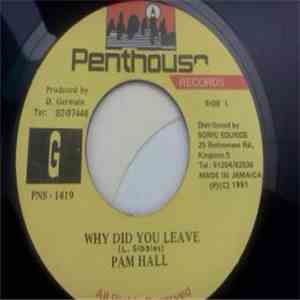 Pam Hall - Why Did You Leave