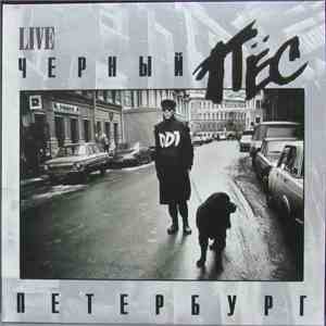 ДДТ - Чёрный Пёс Петербург