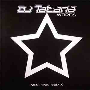 DJ Tatana - Words (Mr. P!nk Remix)