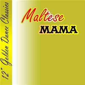 Maltese - Mama