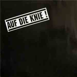 Domina  - Auf Die Knie!
