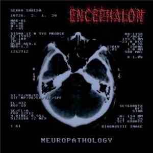 Encephalon  - Neuropathology