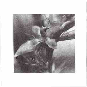 Fading Contour - Emblem Of A Pale Passion