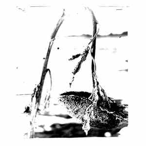 Pink Reason - Cleaning The Mirror