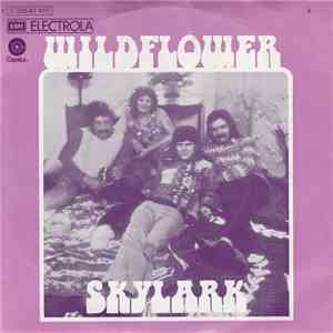 Skylark  - Wildflower / The Writing's On The Wall