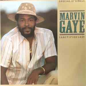 Marvin Gaye - Sanctified Lady