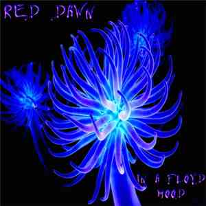 Red Dawn  - In A Floyd Mood