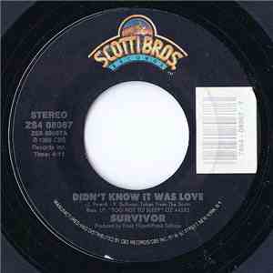 Survivor - Didn't Know It Was Love